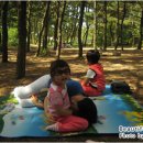 용유동사무소 이미지