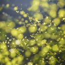 심공인중개사사무소 이미지