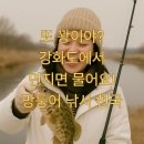 석포리선착장 | "또 꽝이야?"강화도에서 던지면 물어요! 망둥어 낚시 천국