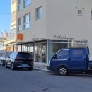 체리쉬퍼피 이미지