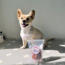 대한견식 | 강아지 수제간식 대한견식 강아지연어간식