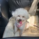 춘이농장 이미지