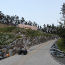 블랙트리하우스 이미지