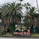 도그비앤비 이미지