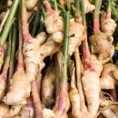 생강약국 이미지