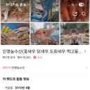 인영수산 이미지