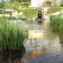 인삼랜드휴게소 이미지