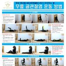 바디인투발란스 네이버블로그