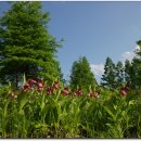 복주머니 이미지