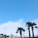 해동그린원룸 | 2024년 가을, 기차 타고 부산 여행 (후기 첫날_부산역,숙소,부산시티투어,간식) 2024.11.20~11.23