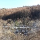 인제14-1 이미지