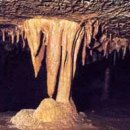 오동동033 이미지