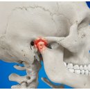 부산큰병원 이미지