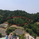 금산-51 이미지