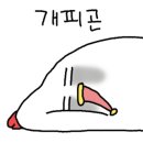 깡패족발 이미지