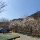 가평물골숲계곡캠핑장 이미지