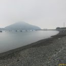 완도 예송리 상록수림 이미지