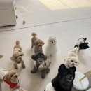 보들보들 유치원 이미지