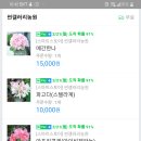 썬갤러리농원 이미지