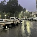 보성닭집 이미지