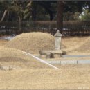 영신군이이묘 이미지