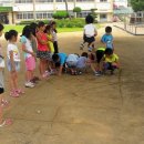 줄포초교 이미지