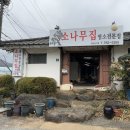 소나무그집