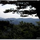 고산자연휴양림 이미지