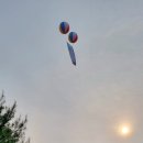 불암산 철쭉 동산 축제~ 이미지