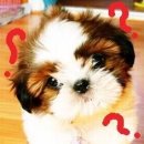 한방클릭 이미지