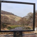 문수사 주차장 | 충남 서산 문수사 겹벚꽃 왕벚꽃 명소 2026 개화시기 주차장 정보