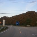 개나리펜션 이미지