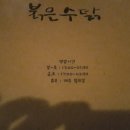 붉은수탉 이미지