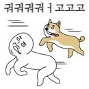파워 짐 이미지