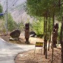 호랑소펜션 이미지