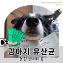 (주)네츄럴 프로 F2 | 농심에서 나온 반려동물영양제 반려다움 프로바이오틱스