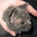 강앤정동물병원 이미지