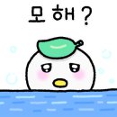 케이댄스스튜디오학원 이미지