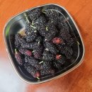 가마솥산장가든 이미지