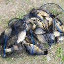 명곡 낚시터 이미지