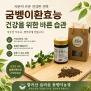 익산꽃벵이 | 굼벵이환효능, 건강식품 선택 전 알아두면 좋은 정보