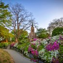 피나클랜드 이미지