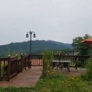 숲속 하얀 뜰 이미지