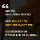 무일푼에서 1000어대 자산가 된 세이노 쓴 소리 이미지