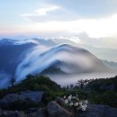 사부(고경) 이미지