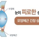 원시로1 이미지