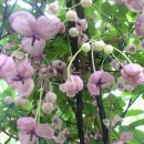 흙이랑 나무랑 이미지