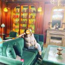 레스테호텔 이미지