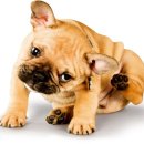 이을동물병원 이미지