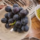 제주통도야지 이미지